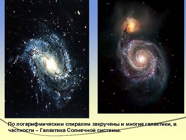 По логарифмическим спиралям закручены и многие галактики, в частности – Галактика Солнечной системы. 