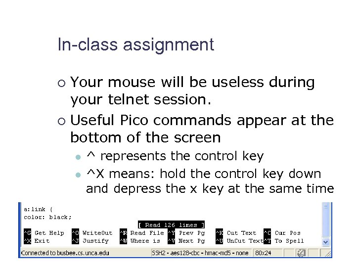 In-class assignment Your mouse will be useless during your telnet session. ¡ Useful Pico