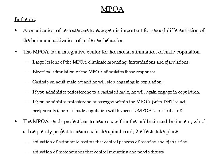 MPOA In the rat: • Aromatization of testosterone to estrogen is important for sexual