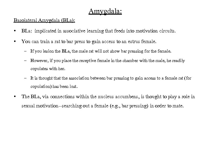 Amygdala: Basolateral Amygdala (BLa): • BLa: implicated in associative learning that feeds into motivation