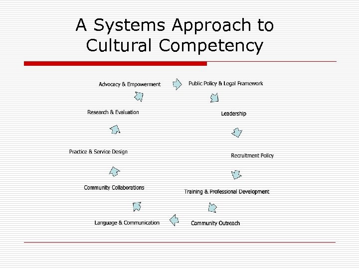 A Systems Approach to Cultural Competency 