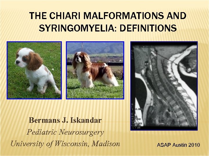 THE CHIARI MALFORMATIONS AND SYRINGOMYELIA: DEFINITIONS Bermans J. Iskandar Pediatric Neurosurgery University of Wisconsin,