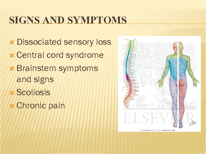 SIGNS AND SYMPTOMS Dissociated sensory loss Central cord syndrome Brainstem symptoms and signs Scoliosis