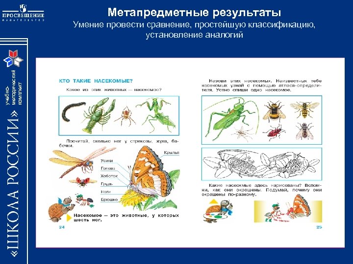 Метапредметные результаты учебнометодический комплект Умение провести сравнение, простейшую классификацию, установление аналогий 