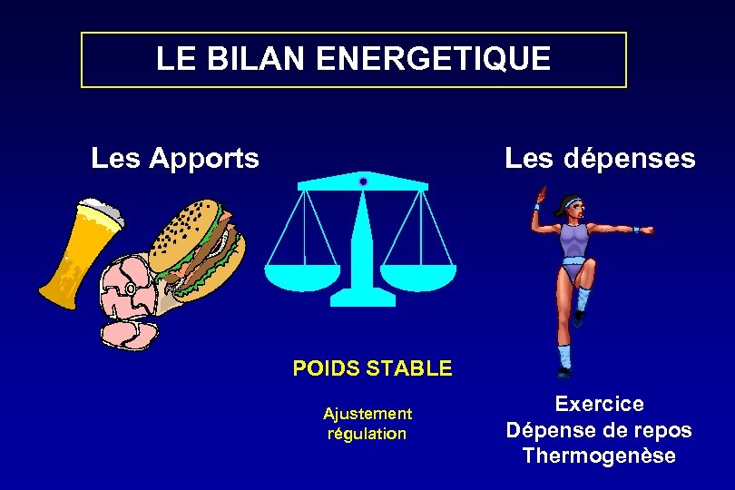 LE BILAN ENERGETIQUE Les Apports Les dépenses POIDS STABLE Ajustement régulation Exercice Dépense de