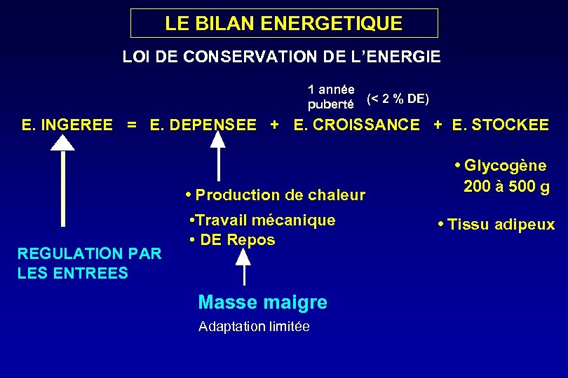  LE BILAN ENERGETIQUE LOI DE CONSERVATION DE L’ENERGIE 1 année puberté (< 2