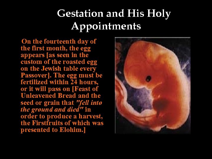 Gestation and His Holy Appointments On the fourteenth day of the first month, the