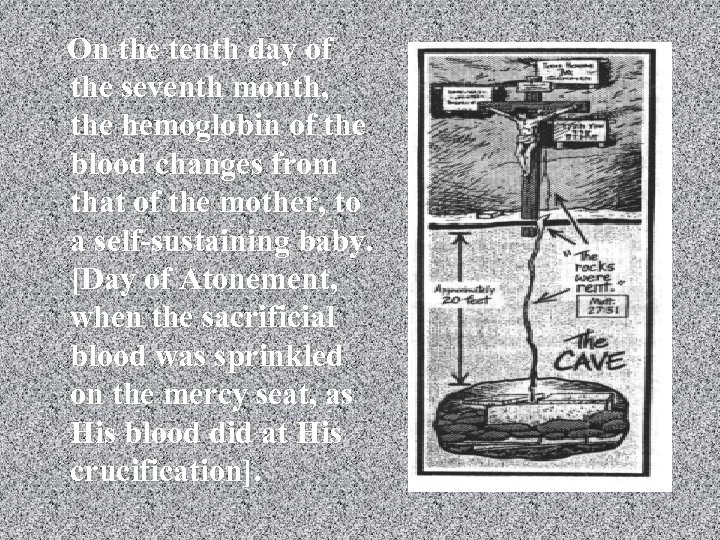 On the tenth day of the seventh month, the hemoglobin of the blood changes