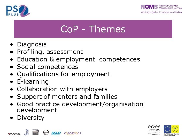 Co. P - Themes • • • Diagnosis Profiling, assessment Education & employment competences