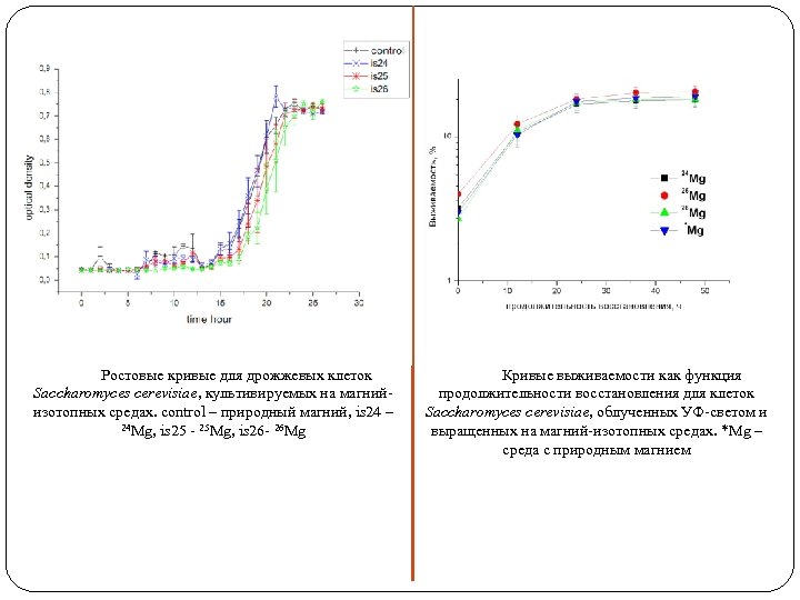 Ростовые кривые для дрожжевых клеток Saccharomyces cerevisiae, культивируемых на магнийизотопных средах. control – природный