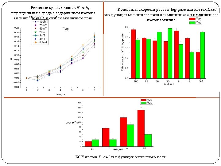 Ростовые кривые клеток E. coli, выращенных на среде с содержанием изотопа магния: 24 Mg.