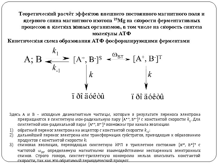 Теоретический расчёт эффектов внешнего постоянного магнитного поля и ядерного спина магнитного изотопа 25 Мg