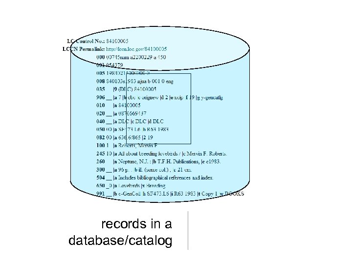 records in a database/catalog 