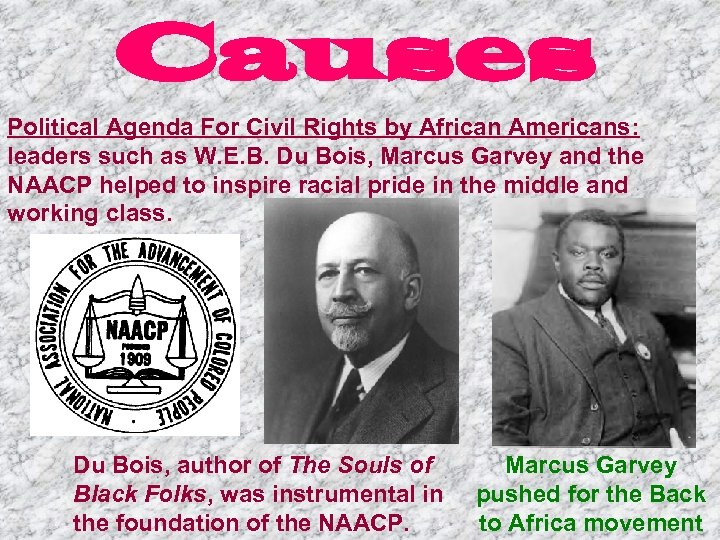 Causes Political Agenda For Civil Rights by African Americans: leaders such as W. E.