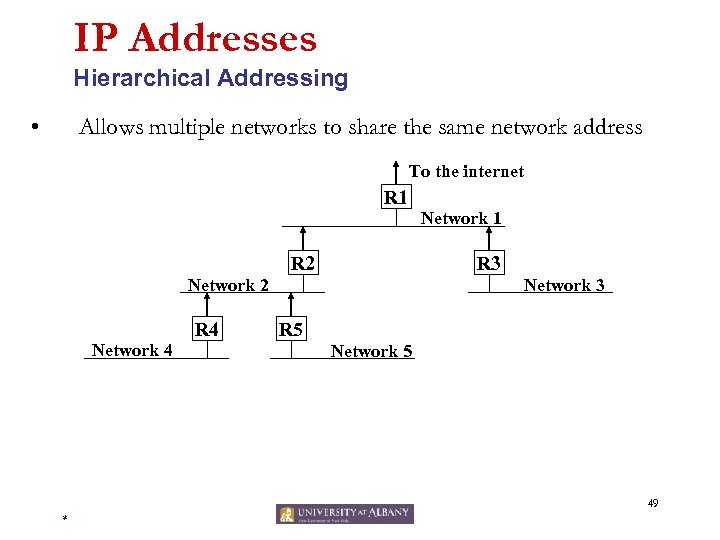 IP Addresses Hierarchical Addressing • Allows multiple networks to share the same network address