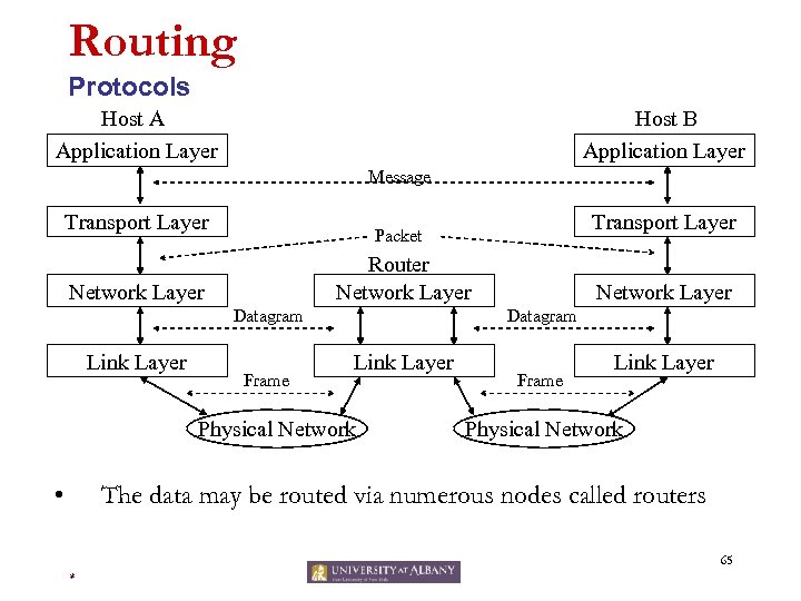 Routing Protocols Host A Application Layer Host B Application Layer Message Transport Layer Router