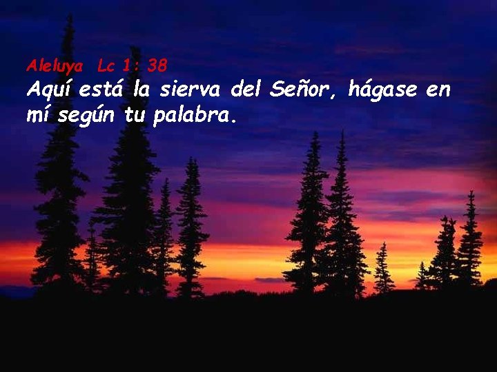 Aleluya Lc 1: 38 Aquí está la sierva del Señor, hágase en mí según