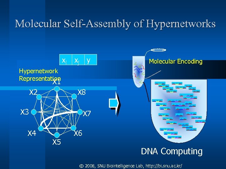 Molecular Self-Assembly of Hypernetworks xi xj y Molecular Encoding Hypernetwork Representation X 1 X