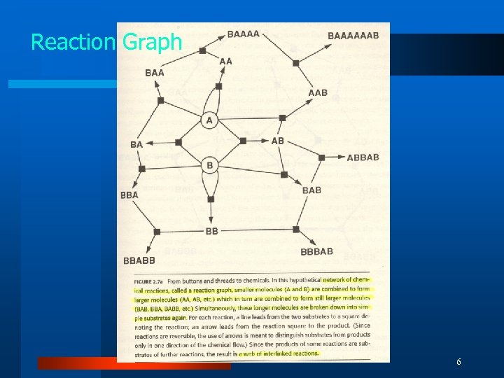 Reaction Graph 6 