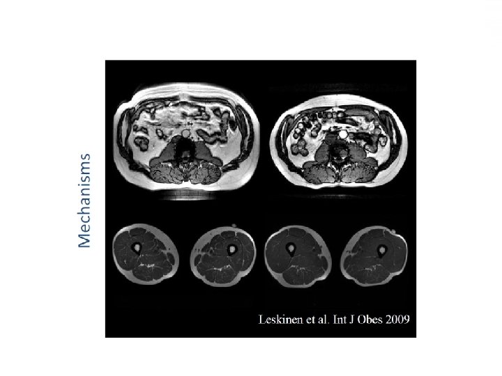 Ihminen on kokonaisuus 