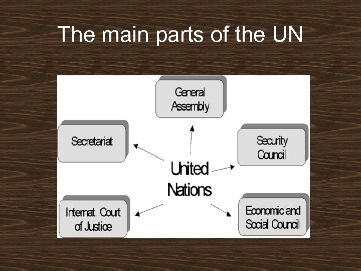 The main parts of the UN 