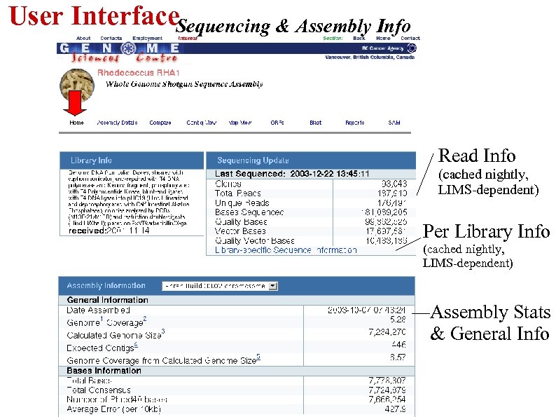 User Interface. Sequencing & Assembly Info Read Info (cached nightly, LIMS-dependent) Per Library Info