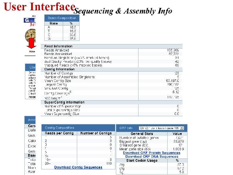 User Interface. Sequencing & Assembly Info 