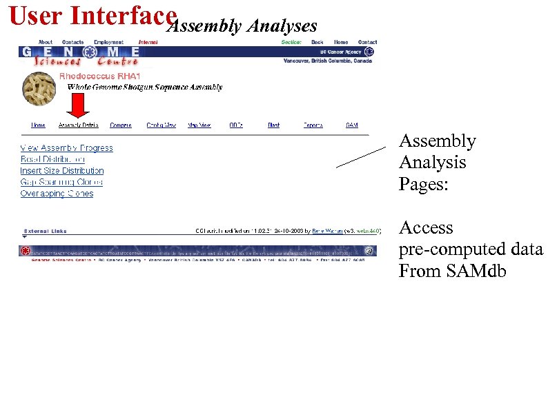 User Interface Assembly Analyses Assembly Analysis Pages: Access pre-computed data From SAMdb 