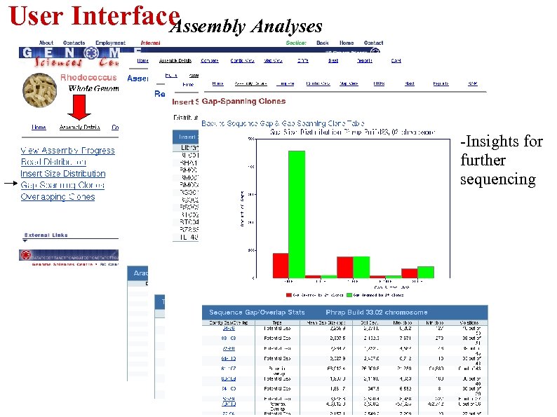 User Interface Assembly Analyses -Insights for further sequencing 