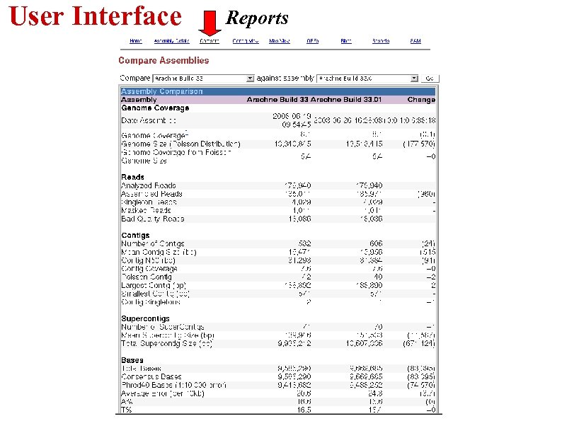User Interface Reports 