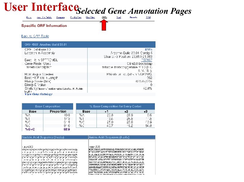 User Interface Selected Gene Annotation Pages 