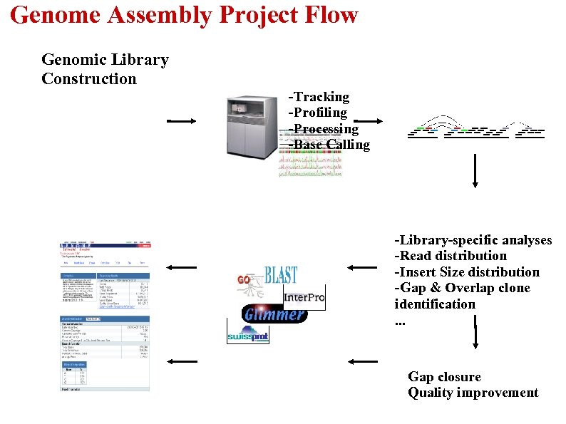 Genome Assembly Project Flow Genomic Library Construction -Tracking -Profiling -Processing -Base Calling -Library-specific analyses