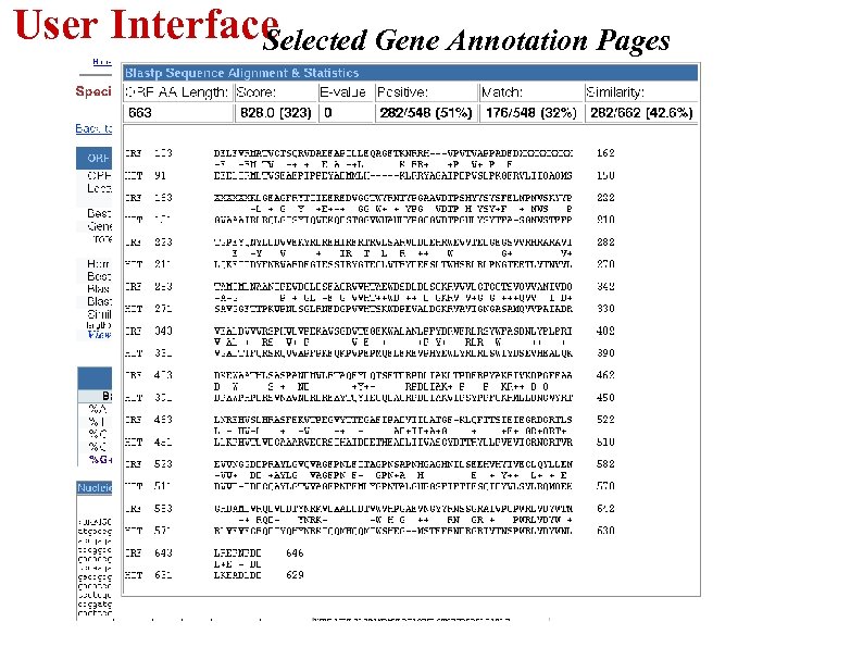 User Interface Selected Gene Annotation Pages 