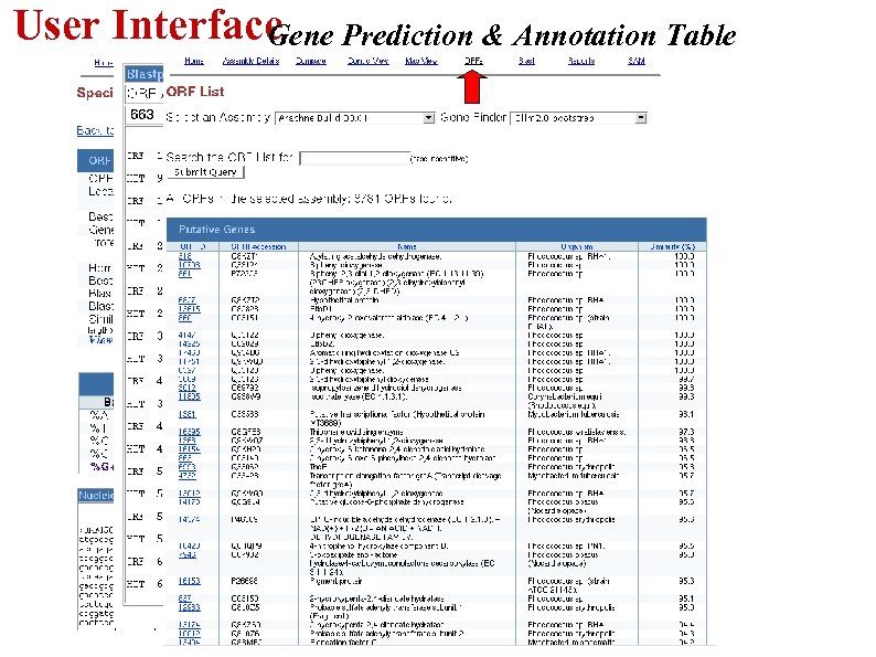 User Interface ene Prediction & Annotation Table G 