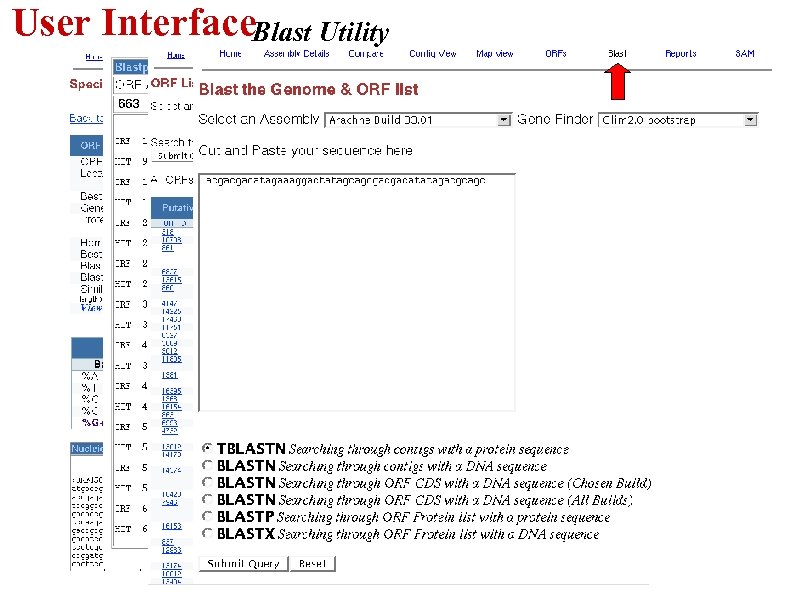 User Interface. Blast Utility 