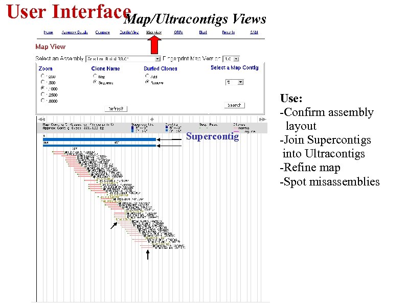 User Interface Map/Ultracontigs Views Supercontig Use: -Confirm assembly layout -Join Supercontigs into Ultracontigs -Refine