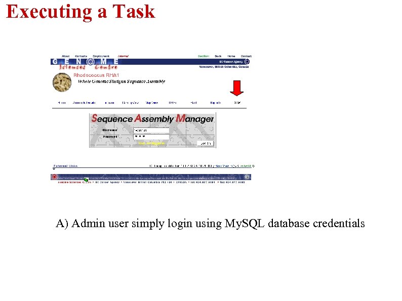 Executing a Task A) Admin user simply login using My. SQL database credentials 
