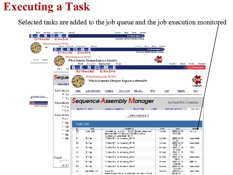 Executing a Task Selected tasks are added to the job queue and the job