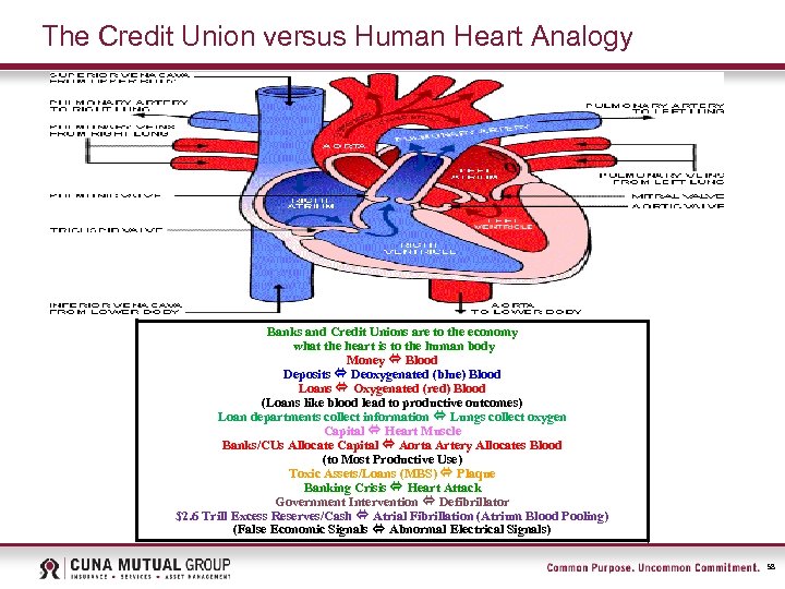 The Credit Union versus Human Heart Analogy Banks and Credit Unions are to the