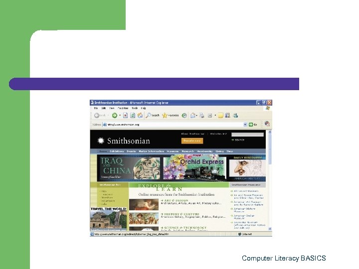 Computer Literacy BASICS 