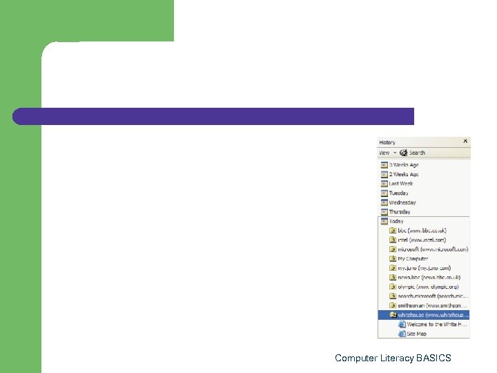 Computer Literacy BASICS 