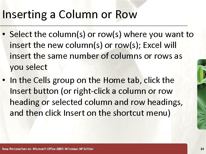 Inserting a Column or Row XP • Select the column(s) or row(s) where you