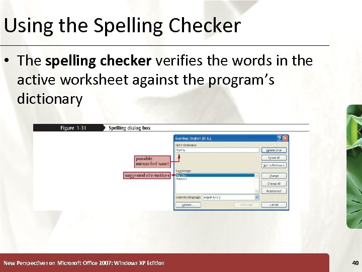 Using the Spelling Checker XP • The spelling checker verifies the words in the