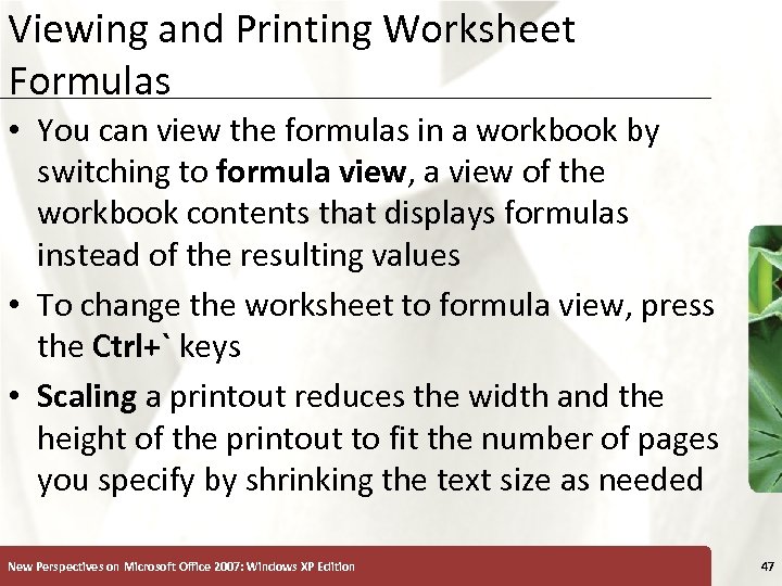 Viewing and Printing Worksheet Formulas XP • You can view the formulas in a