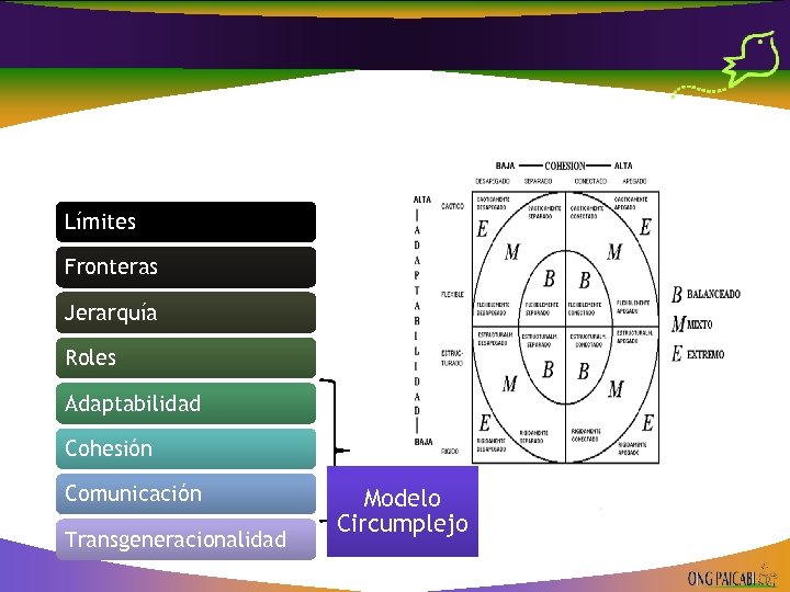 Límites Fronteras Jerarquía Roles Adaptabilidad Cohesión Comunicación Transgeneracionalidad Modelo Circumplejo 