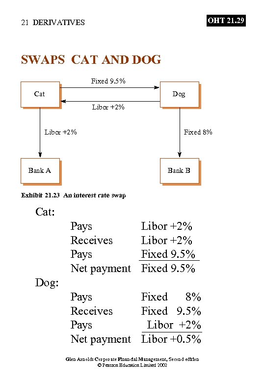OHT 21. 29 21 DERIVATIVES SWAPS CAT AND DOG Fixed 9. 5% Cat Dog