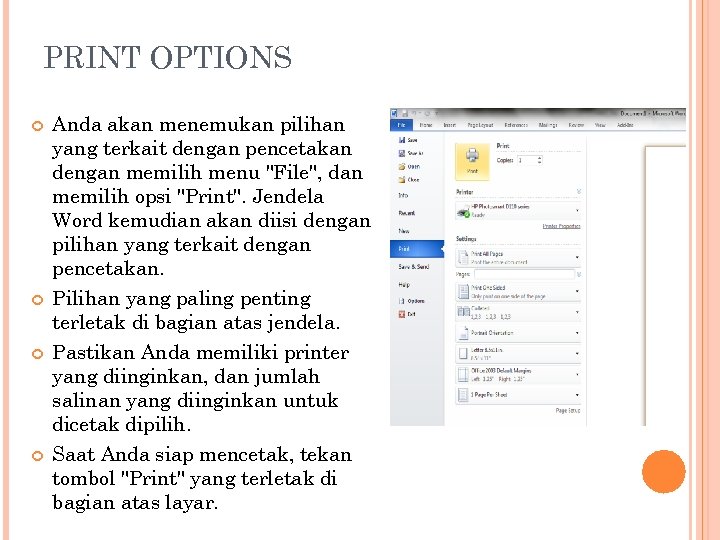 PRINT OPTIONS Anda akan menemukan pilihan yang terkait dengan pencetakan dengan memilih menu 