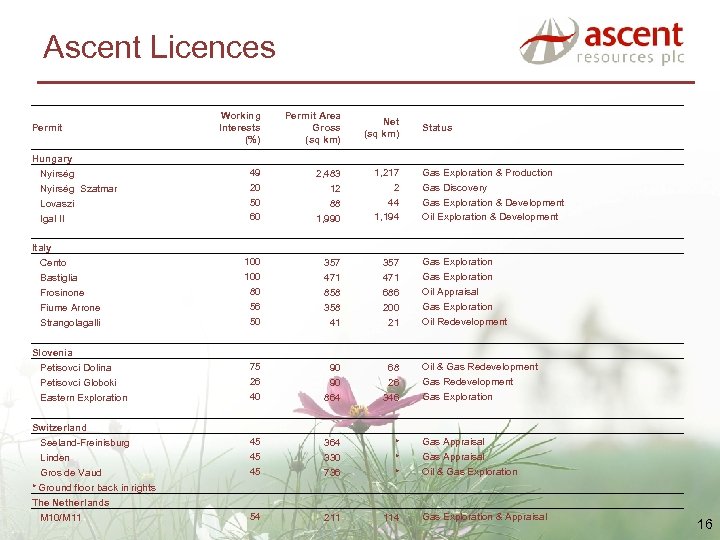 Ascent Licences Working Interests (%) Permit Area Gross (sq km) Net (sq km) 49