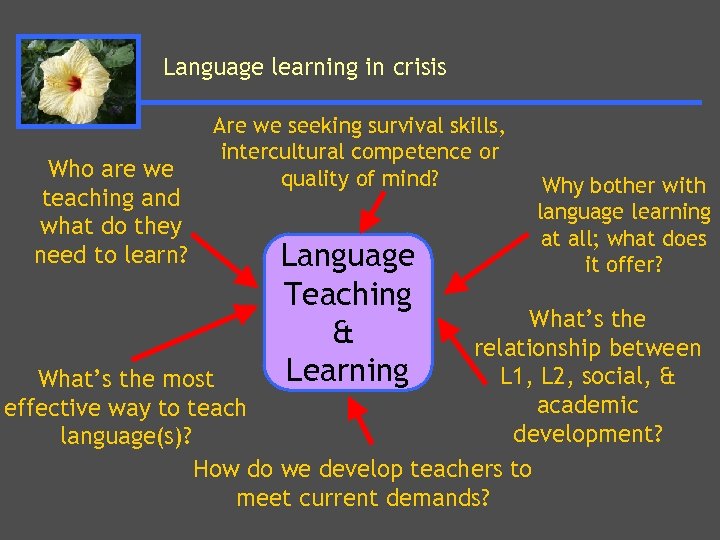 Language learning in crisis Who are we teaching and what do they need to
