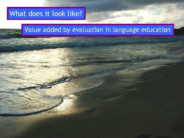 What does it look like? Value added by evaluation in language education 